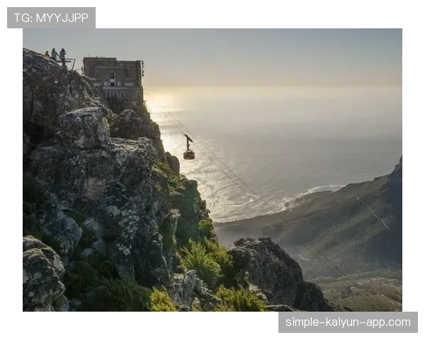 印度队击溃南非,投球表现完美,印度队击溃南非,投球表现完美吗